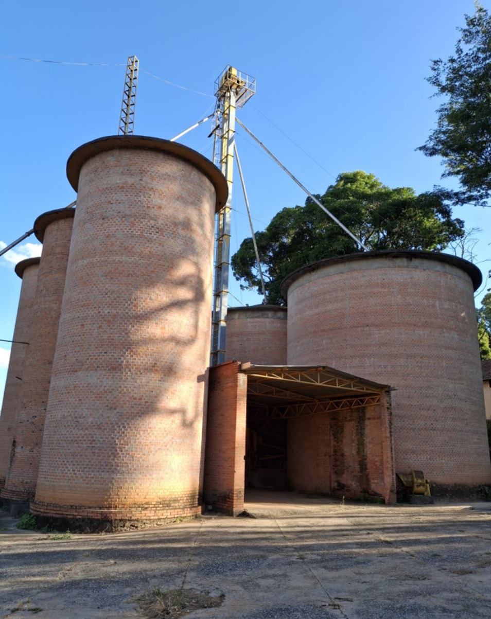 Silolavras tauri
